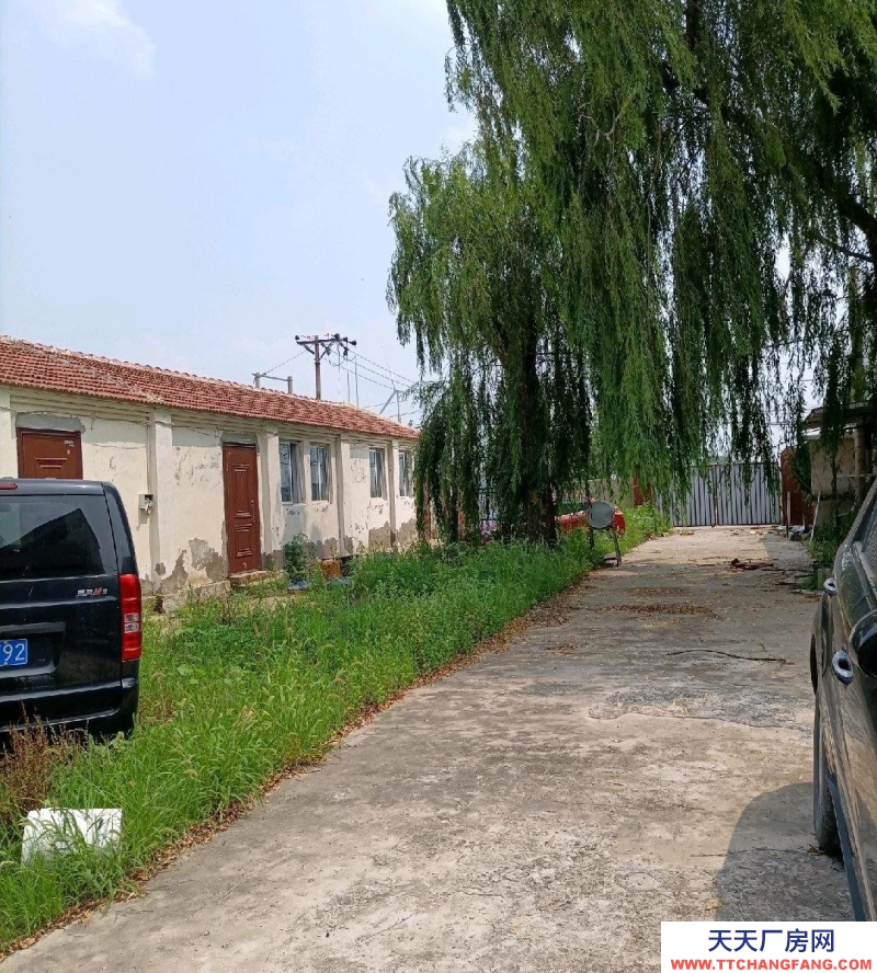 (出租) 天津?qū)幒佑蟹孔?3間，房子前后有院子，可以擴建，