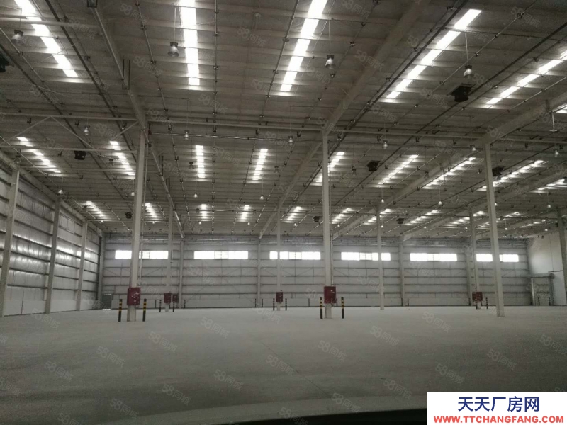 (出租) 天津靜海開發區產業園標準丙二類高臺倉庫出租,可分租