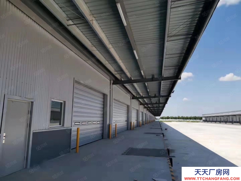 (出租) 天津靜海開發區產業園標準丙二類高臺倉庫出租,可分租