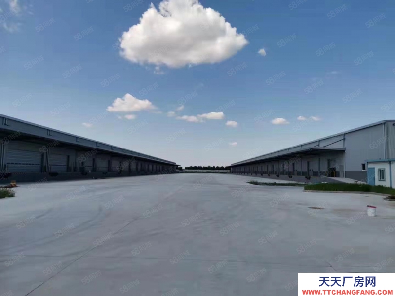 (出租) 天津靜海開發區產業園標準丙二類高臺倉庫出租,可分租