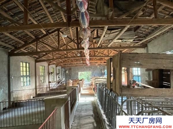 常德市澧縣閑置豬廠一棟設施齊全,可帶住房出租(售)。