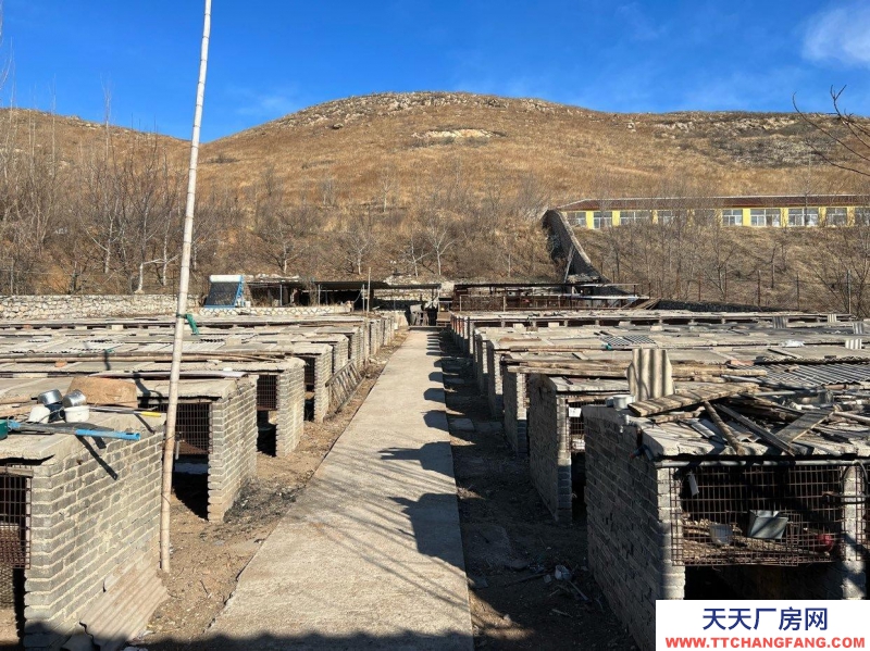 唐山 古治 農(nóng)業(yè)養(yǎng)殖基地倉儲住宅配套設(shè)施齊全水電交通齊全