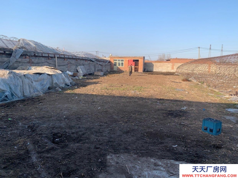 唐山 古治 養(yǎng)殖大棚租賃 出租 有水有電