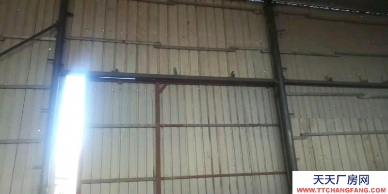 唐山 古治 庫(kù)房出租 長(zhǎng)24米 寬20米 高7米 榛子鎮(zhèn)高速路口南行