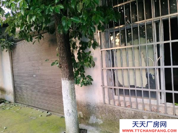 常德市澧縣北臨四馬小區，南臨遠大汽貿，可做小型倉庫