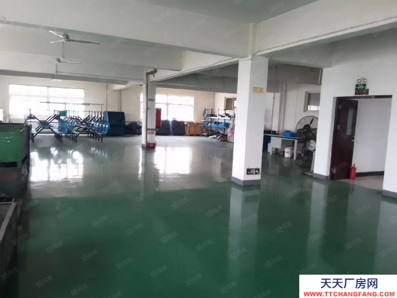 (出租) 天津塘沽開發區西區廠房出租