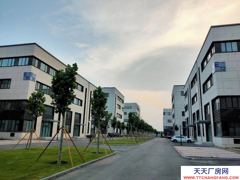 (出租)天津南開 環外200至2300別墅出租，首層挑高7.5米頂層贈露臺