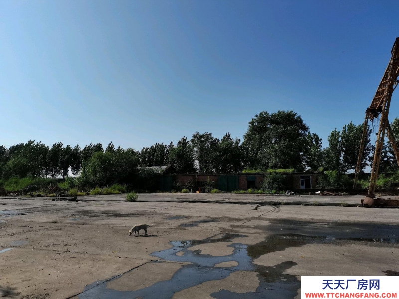 唐山 開(kāi)平 廠房,場(chǎng)地,庫(kù)房出租