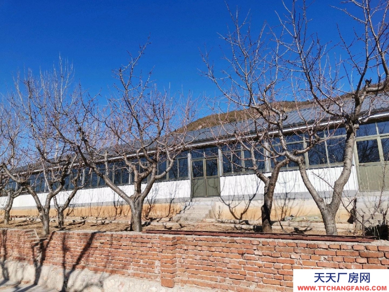 唐山 遷安 18畝大院出租，交通便利，三相電、深水井等設施齊全