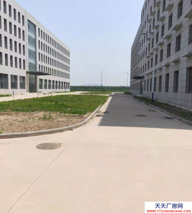 (出租) 天津河?xùn)|區(qū)衛(wèi)國(guó)道與外環(huán)線交口260-5600平米車間廠房倉(cāng)庫(kù)