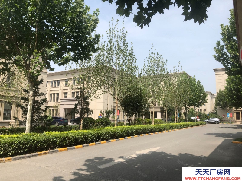 (出租) 天津河西品質(zhì)園區(qū)現(xiàn)房,可租可售,首層7.2m,可生產(chǎn)辦公