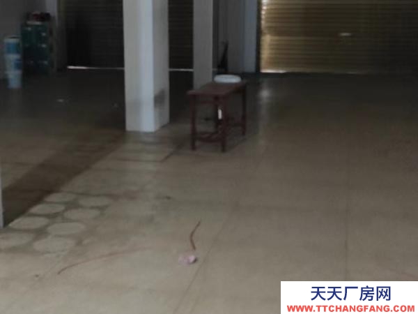 常德市安鄉(xiāng) 臨近深柳大道，交通便利