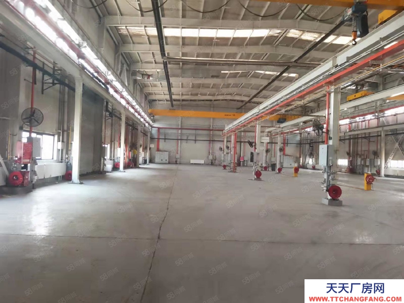 (出租)天津東麗 4000平米獨門獨院廠房出租