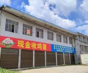 (出租) 黃岡浠水手續(xù)齊全，浠水冠喬學(xué)校前150米，浠英公路旁