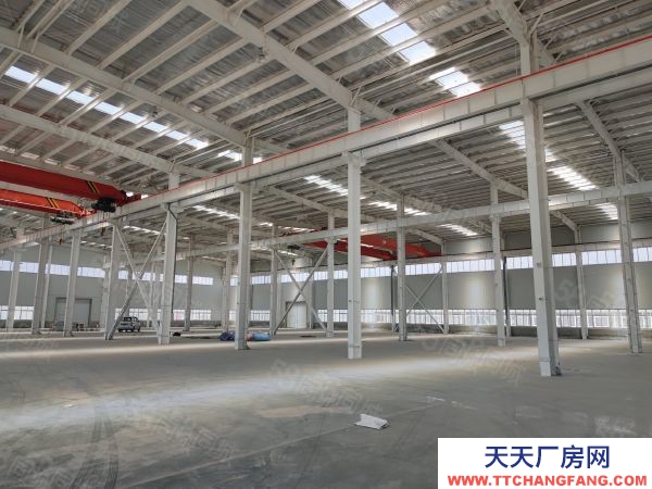 (出租) 天津靜海中德生態城三萬五千平廠房12米層高可分租