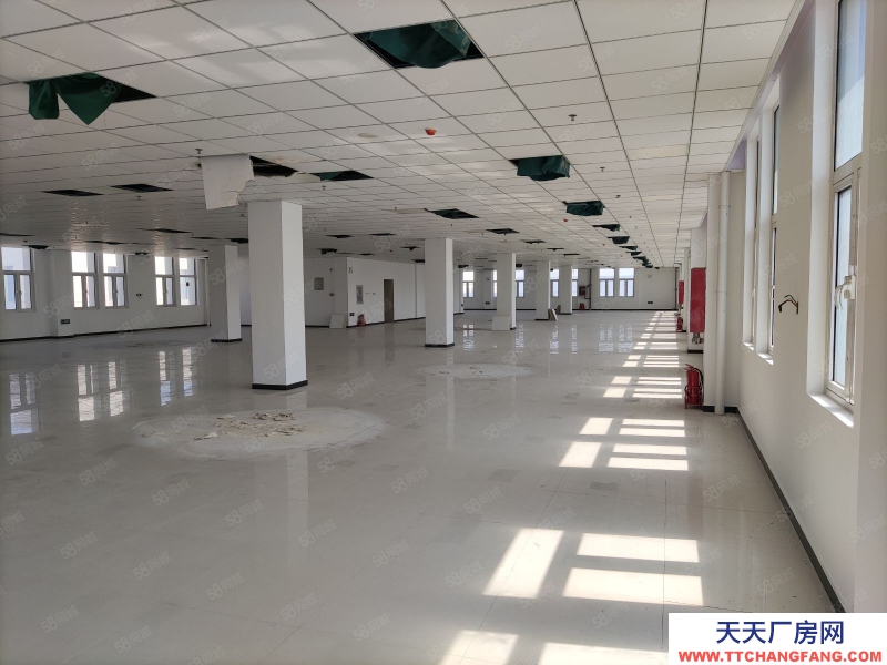 (出售) 天津塘沽(高端精密儀器產業園)打造天津(儀器設備研發生產)的專業園區