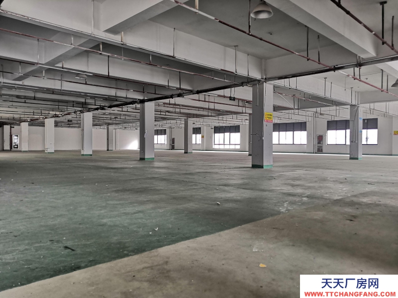 出租童裝行業(yè)廠房 湖州織里500平、1000平、1600平、3000平