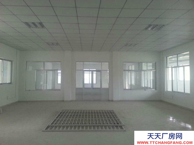 濰坊奎文飛機場南多套大面積車間出租