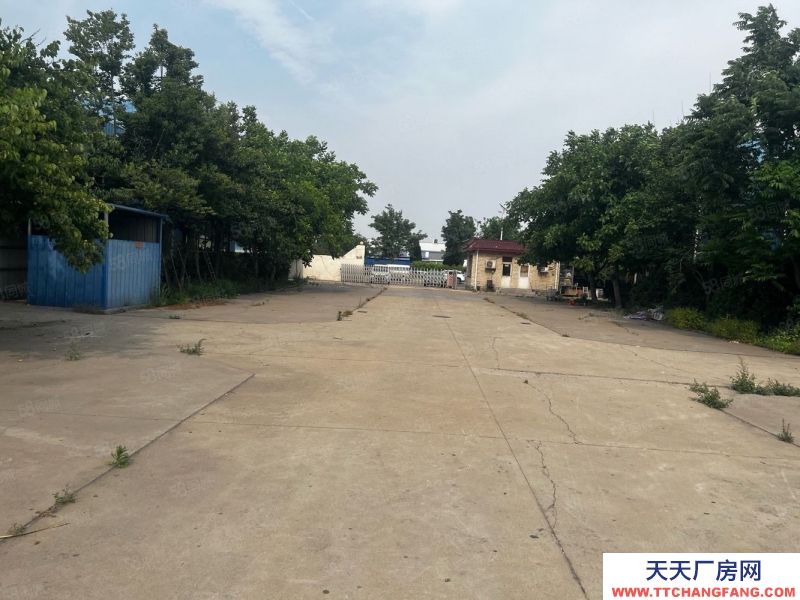 (出售) 天津津南開(kāi)發(fā)區(qū)聚英路,工業(yè)用地60萬(wàn)一畝,聚英路占地25畝不議價(jià)