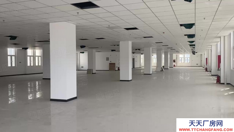 (出售) 天津津南獨(dú)棟廠(chǎng)房 重點(diǎn)引進(jìn)與培育高端精密儀器領(lǐng)軍企業(yè)