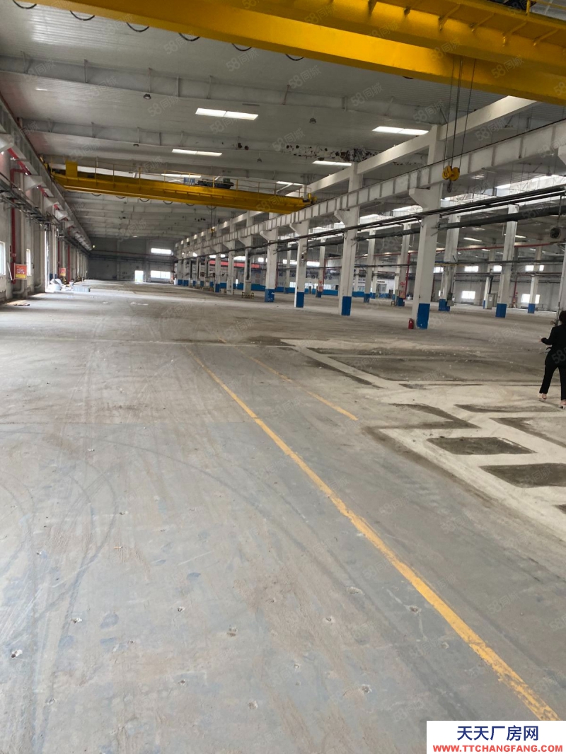 (出售) 天津武清開發商單層廠房出租,可分租上天車(丙二)有環評 高速口..