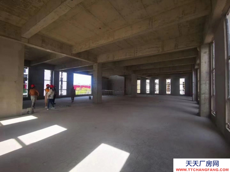 (出售) 天津東麗經開區廠房2層半獨棟廠房