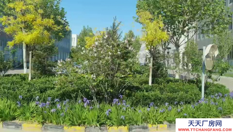 (出售) 天津北辰在建紅本廠房,可貸款,低首付,有環評,層高7.2