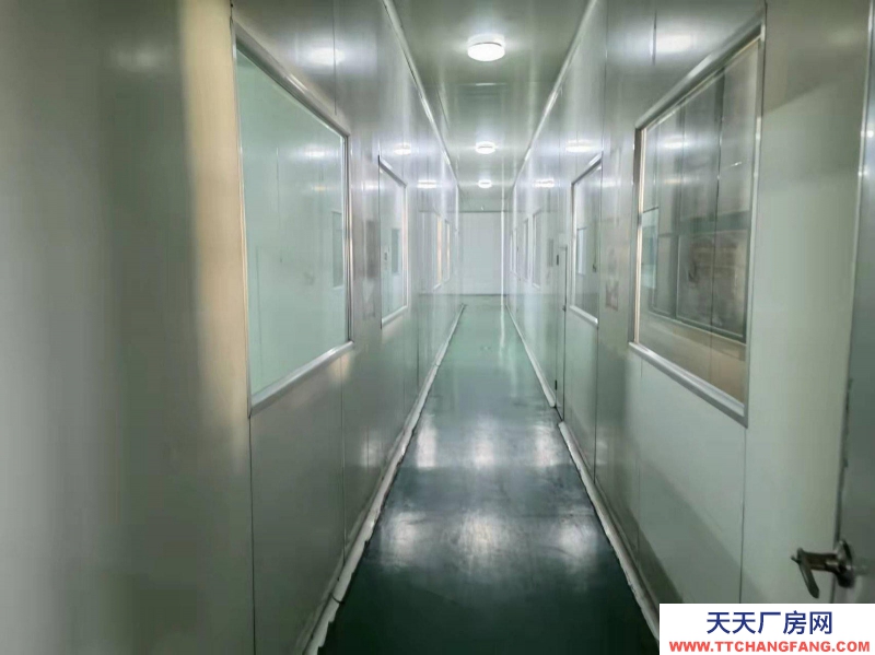 (出租) 安徽宣州區現有食品廠1500整體出租（包括凈化車間）可做倉庫生產辦公一