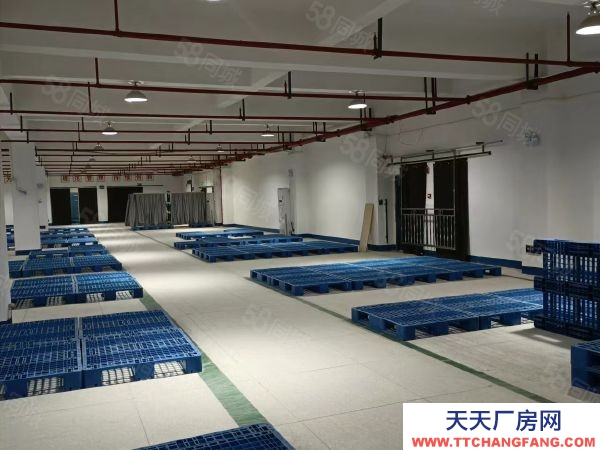 衡陽(yáng)市雁峰區(qū)業(yè)主自建多層磚混結(jié)構(gòu)廠房三樓1300平米出租