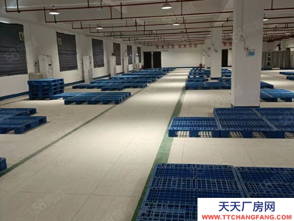 衡陽(yáng)市雁峰區(qū)業(yè)主自建多層磚混結(jié)構(gòu)廠房三樓1300平米出租