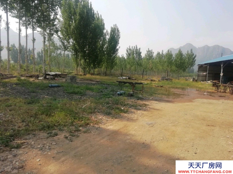 唐山 遵化 原木線加工廠房400㎡，總占地4畝