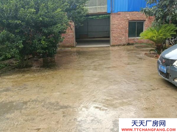 衡陽市石鼓區(qū)業(yè)主自建單層獨棟廠房1300平出租