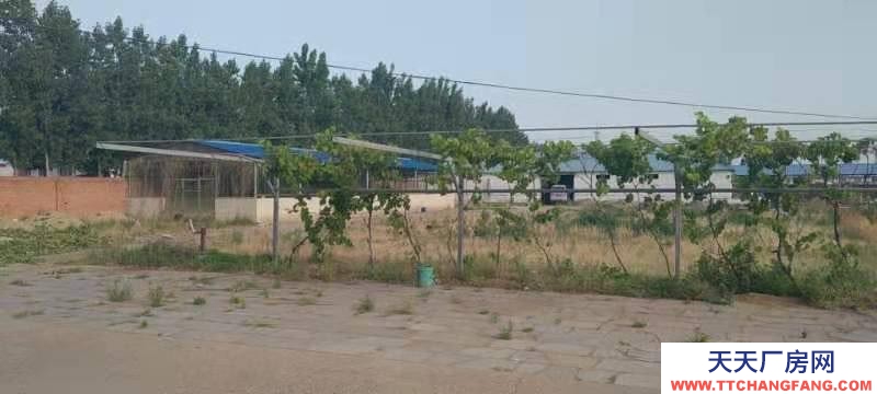 唐山 灤南 十畝大院對(duì)外出租水電俱全出入方便