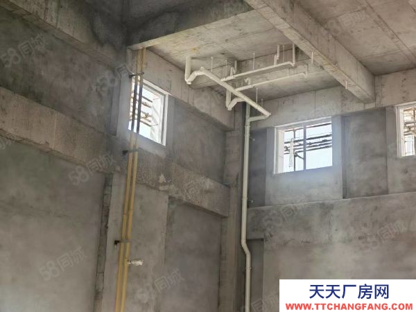 無錫江陰50年產(chǎn)權(quán)高標準廠房獨棟3400平方也可雙拼1700