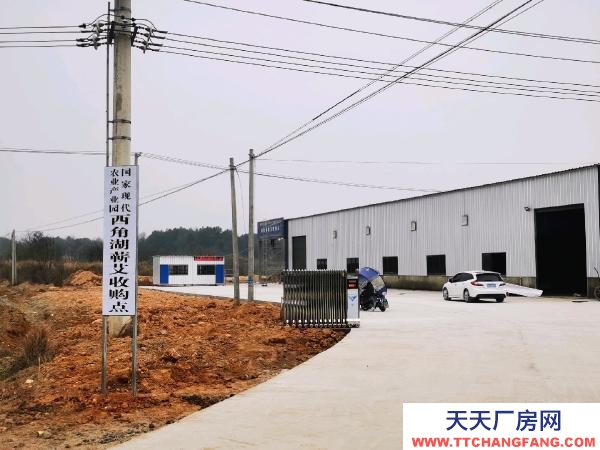 (出租) 黃岡蘄春國道旁邊千平大倉庫房東直租