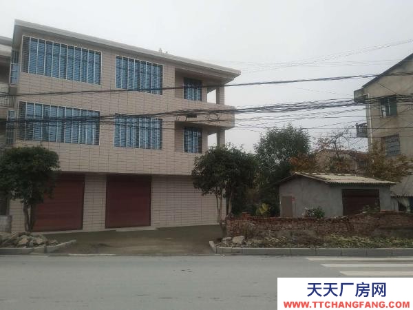 (出租) 黃岡蘄春臨街，十字路口，有卸貨區。