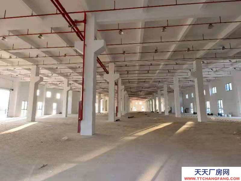 (出售) 宣城郎溪50年產權挑高8.1米廠房1000平起