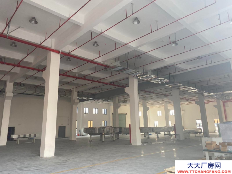 (出售) 宣城郎溪50年產權挑高8.1米廠房1000平起