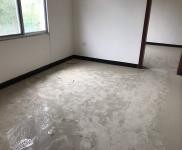 (出租) 黃岡蘄春李時珍醫藥港 倉庫 55-250平米 可代發貨價格面議