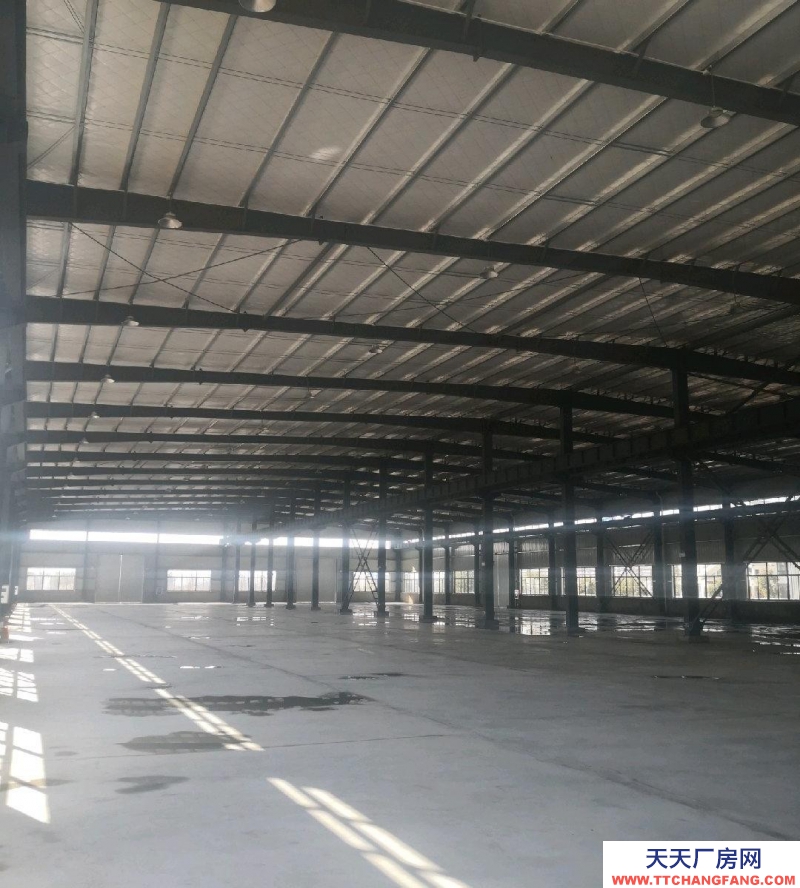 (出租) 池州青陽區全新標準化廠房出租，可整租可分租