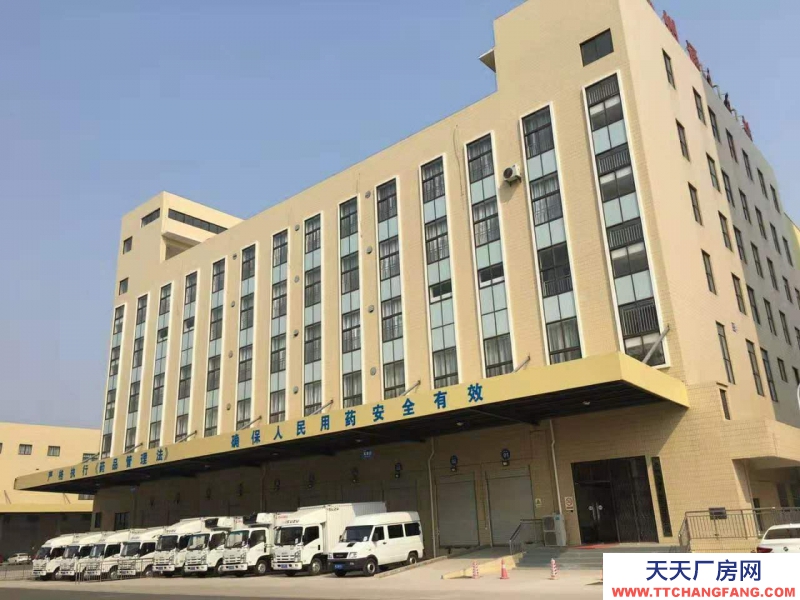 (出租) 亳州譙城區(qū)大型標準化倉庫,藥品代儲代運,15000平米