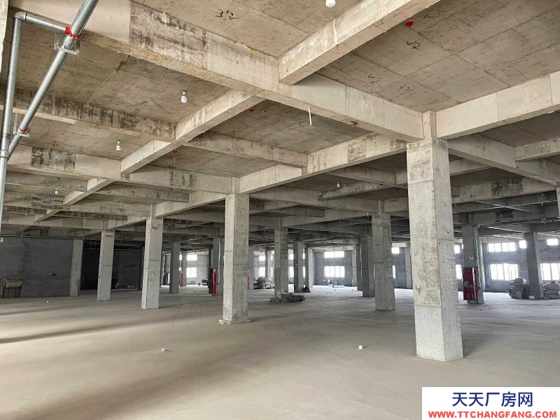 (出租) 亳州譙城辦公樓、倉庫車間(高鐵站附近,地理位置好,可整租可分租)