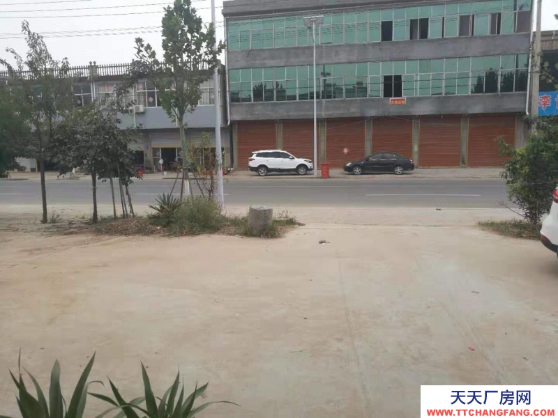 (出租) 亳州譙城區華佗鎮程屯村，近亳州北高速公路，