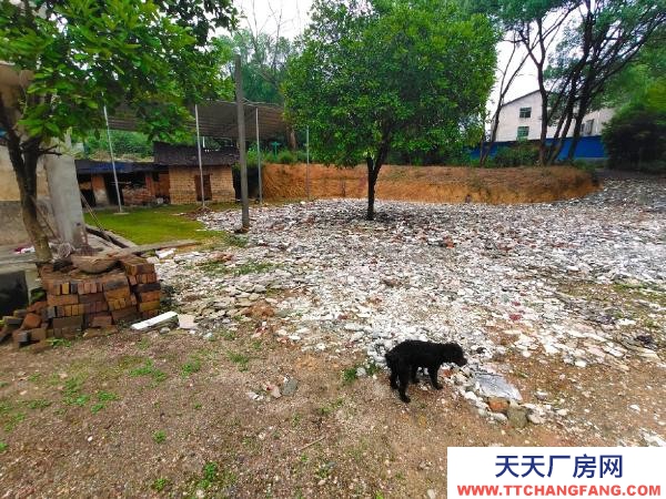 衡陽市蒸湘區 2000平方（+場地）價格面談