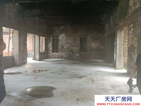 衡陽市珠暉區(qū)業(yè)主自建單層獨(dú)棟廠房1000平米出租