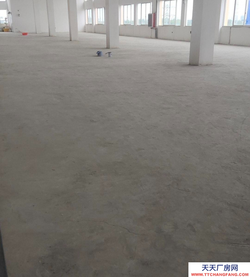 (出租) 六安金安區有電梯，好停車，交通方便