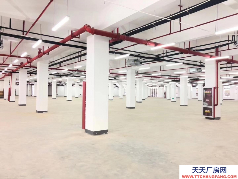 (出租) 六安裕安區(qū)青網(wǎng)產(chǎn)業(yè)園廠房倉(cāng)庫(kù)辦公室120-2000平