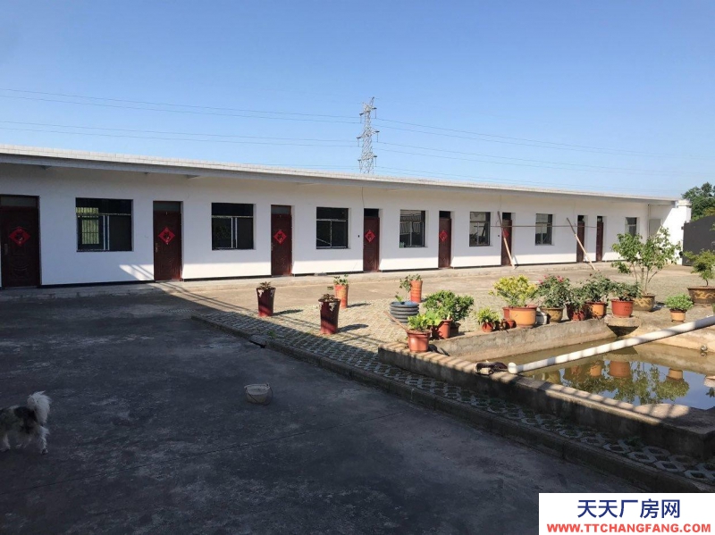 (出租) 六安裕安區(qū)出售或出租農(nóng)家樂垂釣中心1000平方房子，六口魚塘。