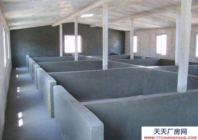 (出租)六安舒城 可養豬養雞，養殖沒問題