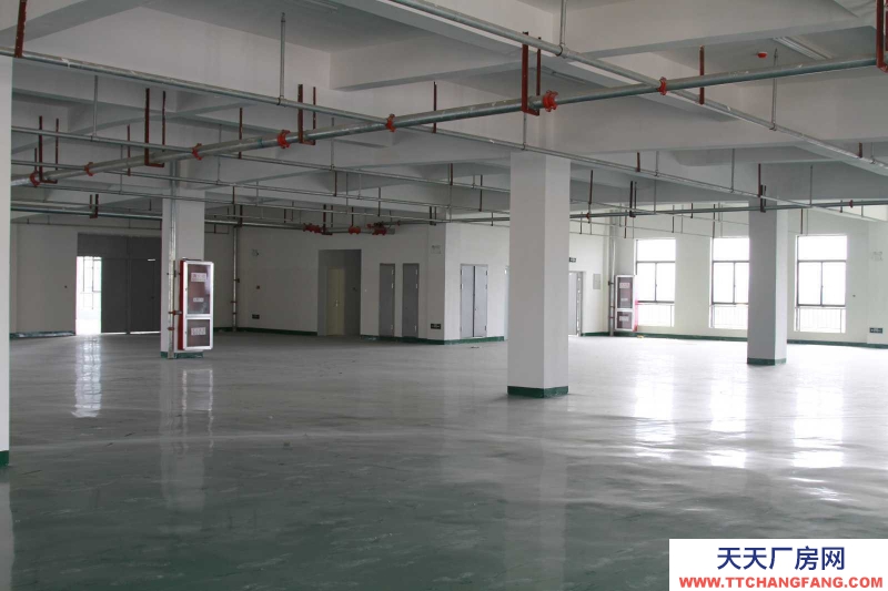 (出租)宿州埇橋 一樓、一樓1250方場地對外出租